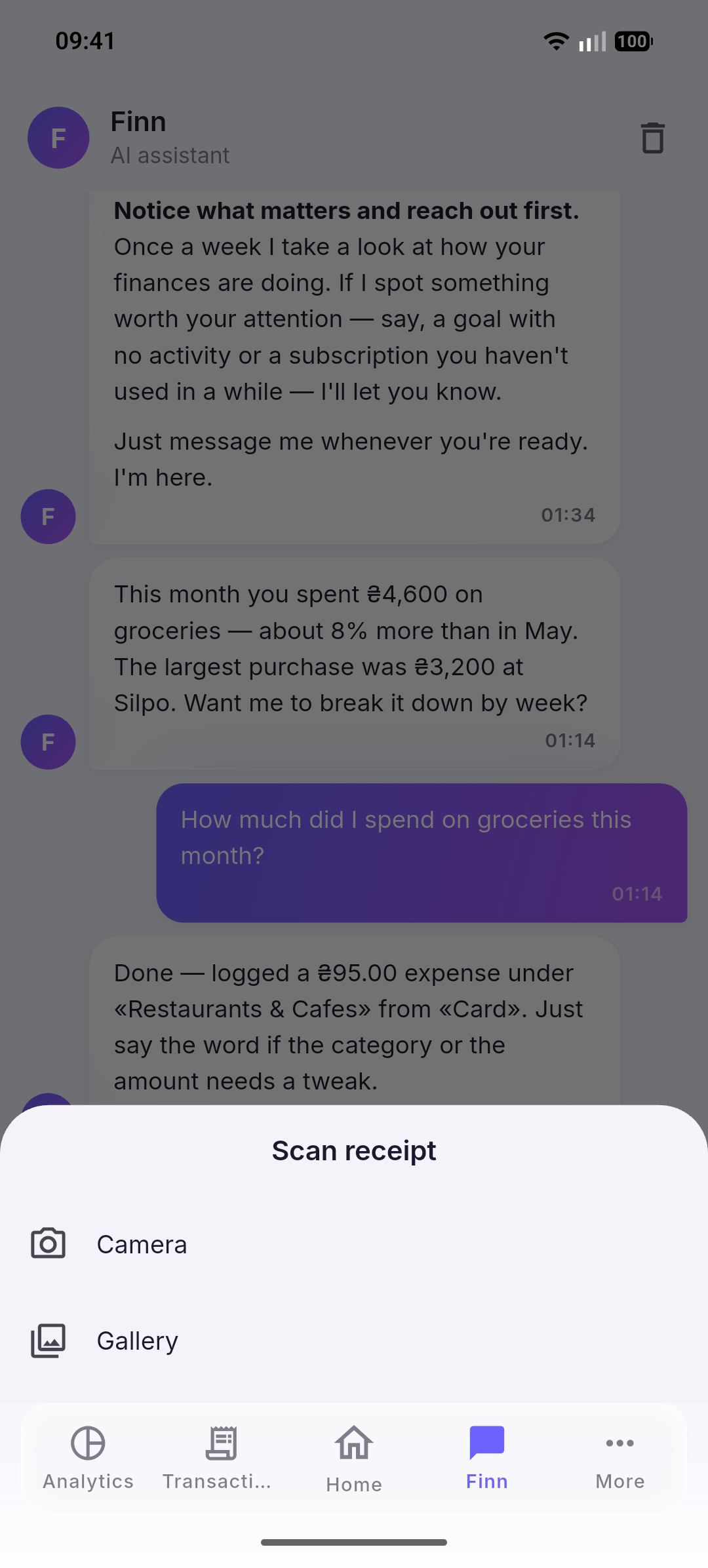Quick transaction entry — receipt photo